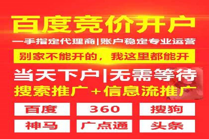 某品牌SEM广告投放效果全解析